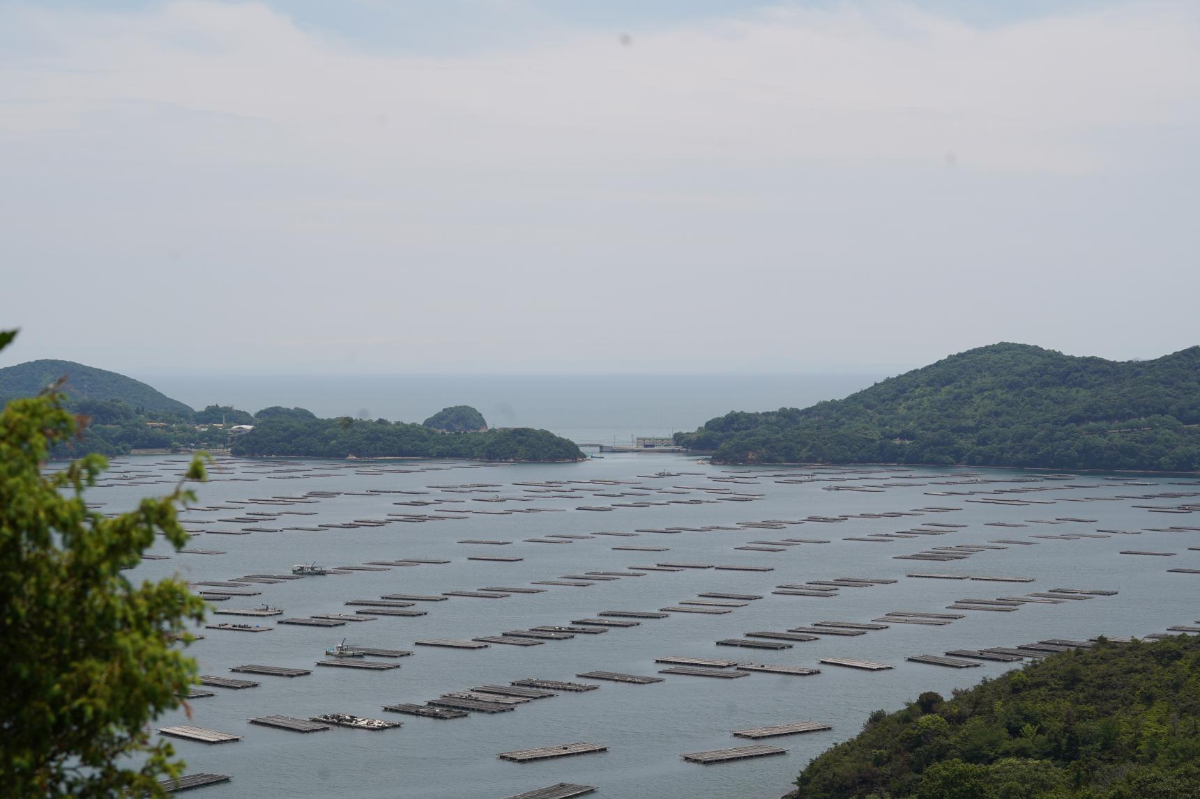 【年末年始の営業情報 2024～2025】　（瀬戸内市内の観光関連施設・店舗など）-1