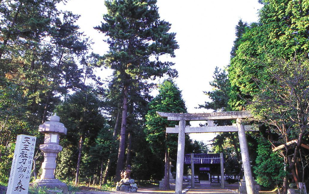 天王社刀剣の森・靱負神社-1