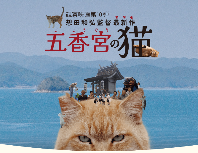 【映画】『五香宮の猫』-1